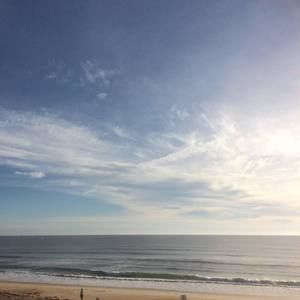 Meet your Posher, Judy